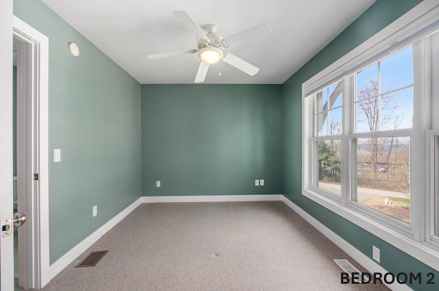 10571 Pinecone Trl, South Haven, MI 49090 - photo 22