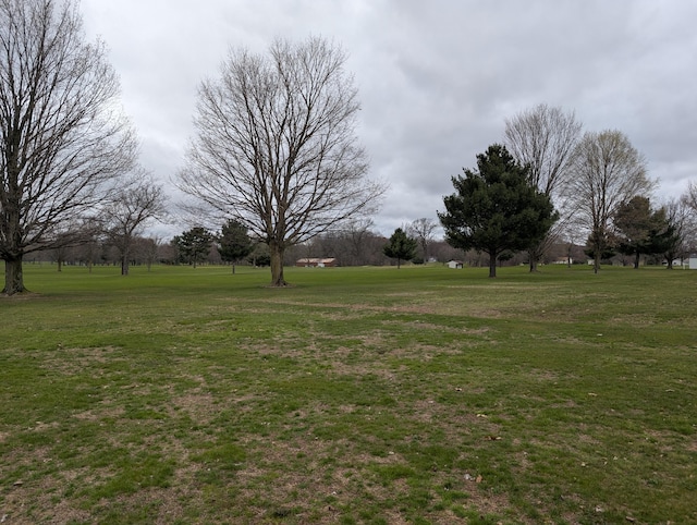 Woodland Dr, Dowagiac, MI 49047 - photo 2