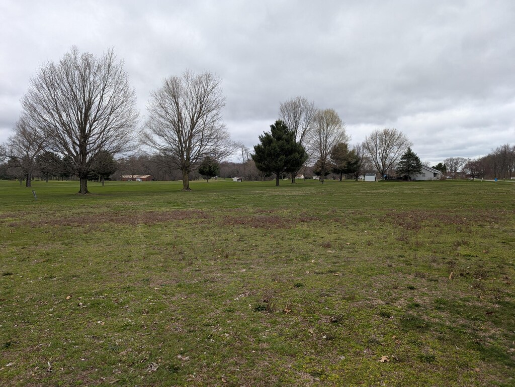 Woodland Dr, Dowagiac, MI 49047 - photo 4