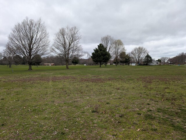 Woodland Dr, Dowagiac, MI 49047 - photo 4