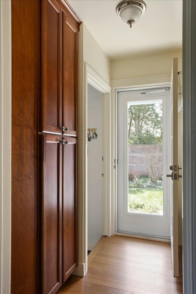 3020 Fulton St SE, Grand Rapids, MI 49506 - entryway with healthy amount of natural light and light wood finished floors