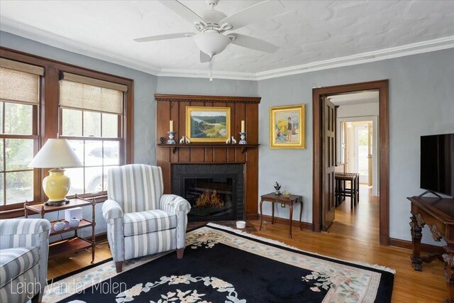 3020 Fulton St SE, Grand Rapids, MI 49506 - living room featuring plenty of natural light, a glass covered fireplace, wood finished floors, and ornamental molding