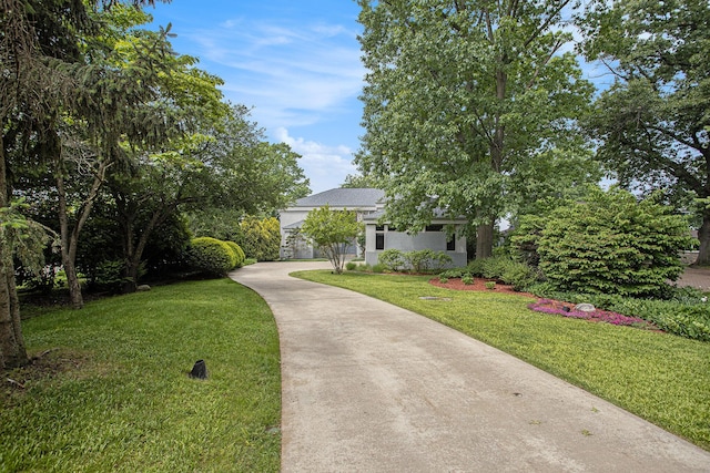 20 Hiawatha Dr, Battle Creek, MI 49015 - view of property hidden behind natural elements featuring driveway, a front yard, and stucco siding
