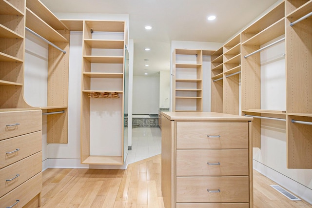 20 Hiawatha Dr, Battle Creek, MI 49015 - spacious closet with light wood-style floors