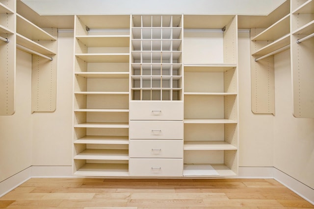 20 Hiawatha Dr, Battle Creek, MI 49015 - walk in closet featuring light wood-style flooring