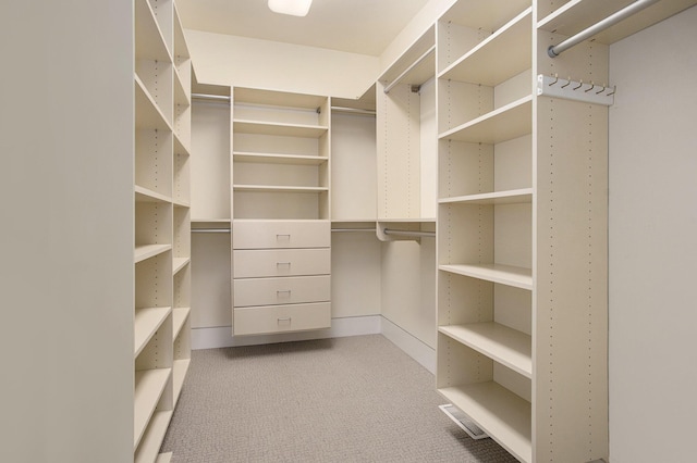 20 Hiawatha Dr, Battle Creek, MI 49015 - walk in closet featuring light colored carpet