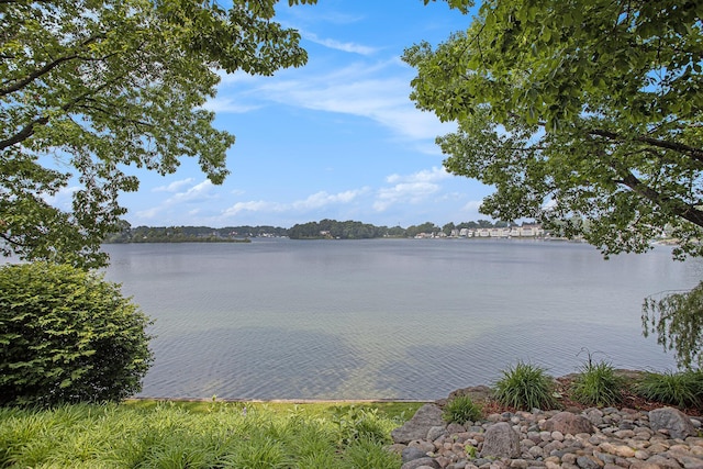 20 Hiawatha Dr, Battle Creek, MI 49015 - water view