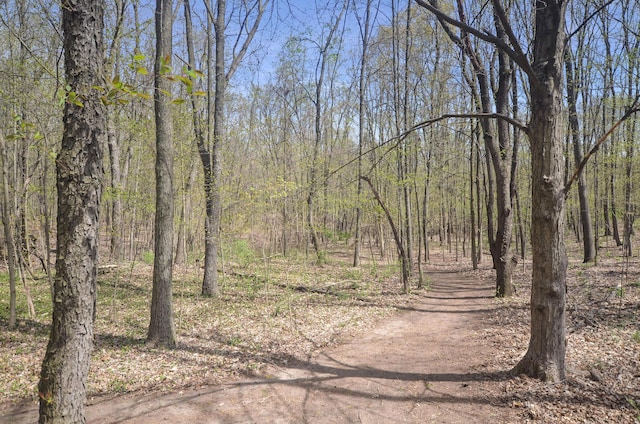 5371 S 4th St, Kalamazoo, MI 49009 - view of road with a wooded view
