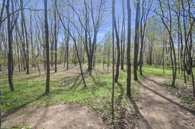 5371 S 4th St, Kalamazoo, MI 49009 - view of woods