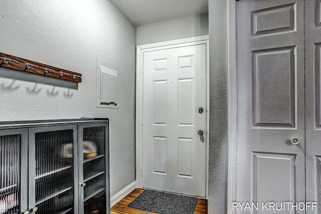 entryway featuring dark wood-type flooring