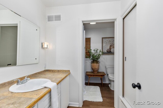 4733 136th Ave, Hamilton, MI 49419 - bathroom with vanity and wood finished floors