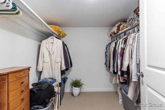 4733 136th Ave, Hamilton, MI 49419 - walk in closet with carpet
