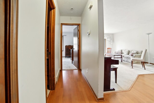 256 Bona Vista Dr NW, Grand Rapids, MI 49504 - corridor featuring light wood-type flooring and baseboards