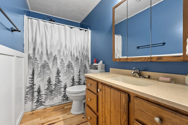 8524 E B Ave, Richland, MI 49083 - bathroom with wood finished floors, toilet, vanity, and a shower with shower curtain