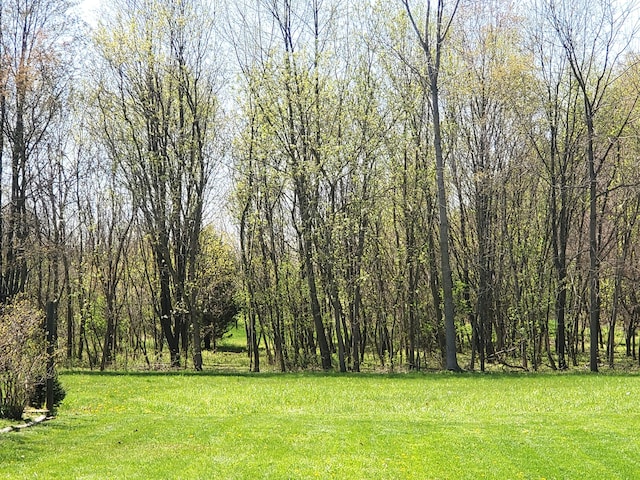 8524 E B Ave, Richland, MI 49083 - view of green lawn