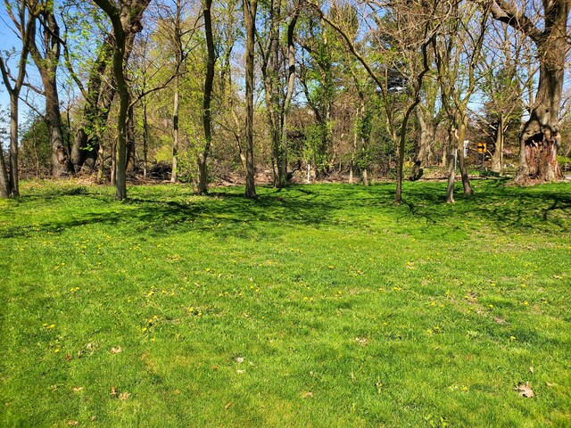 8524 E B Ave, Richland, MI 49083 - view of grassy yard