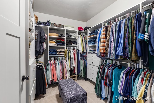 walk in closet featuring carpet