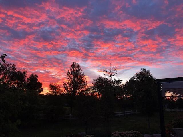 view of nature at dusk