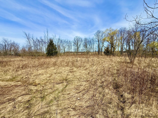 Hudson Rd, Pittsford, MI 49271 - photo 3