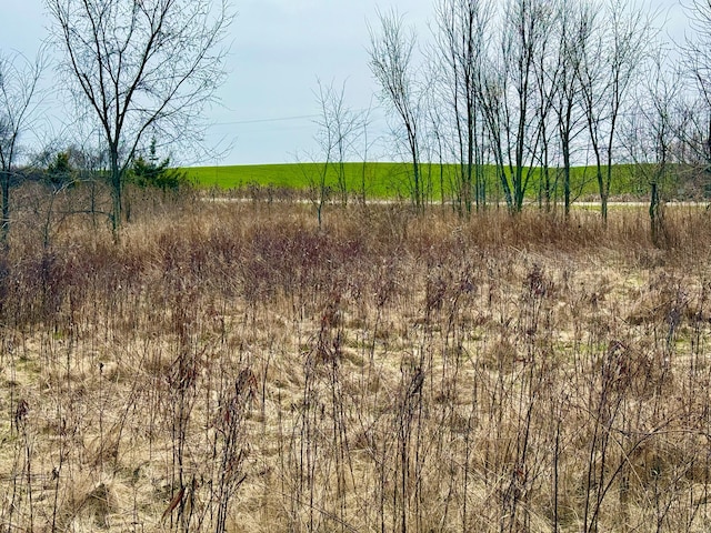 Hudson Rd, Pittsford, MI 49271 - photo 5