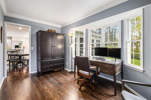 office space featuring a healthy amount of sunlight, crown molding, and dark wood-type flooring