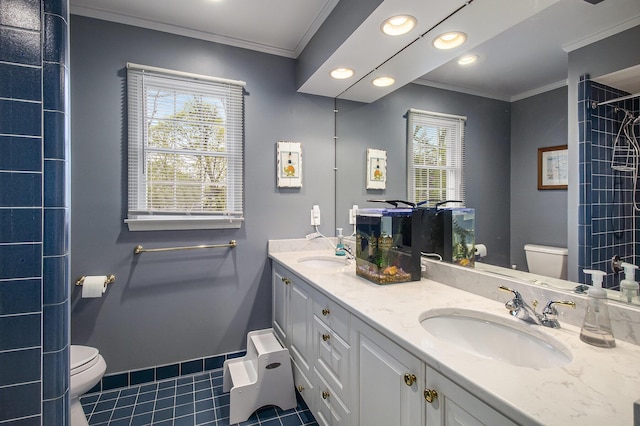 full bathroom with a sink, ornamental molding, and toilet