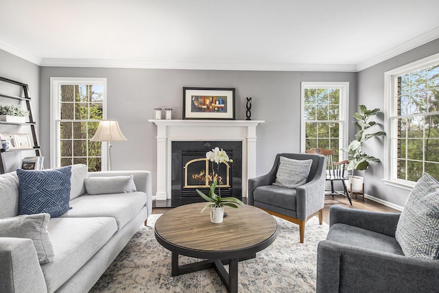living area with crown molding, a fireplace with flush hearth, baseboards, and wood finished floors