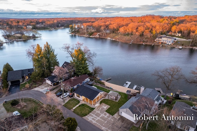 2301 Schimperle Dr NE, Grand Rapids, MI 49525 - drone / aerial view of a large body of water and a heavily wooded area