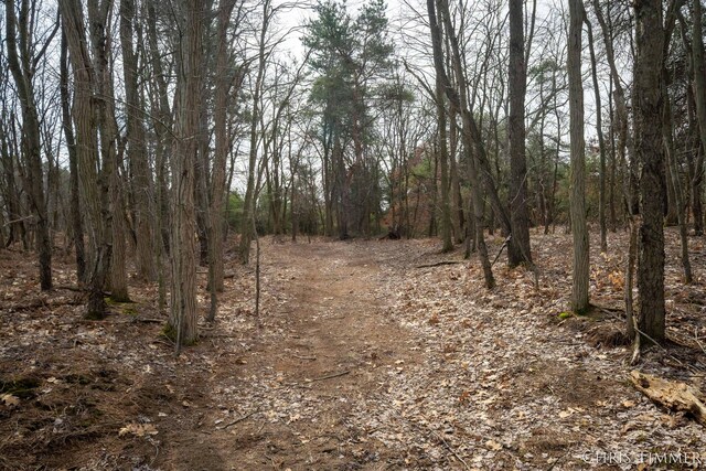 15230 Van Buren St Unit B, Holland, MI 49424 - view of local wilderness with a wooded view