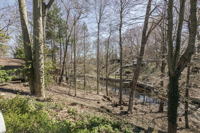 16230 Woodcrest Dr, Spring Lake, MI 49456 - view of nature