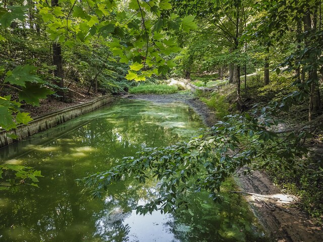 16230 Woodcrest Dr, Spring Lake, MI 49456 - view of nature