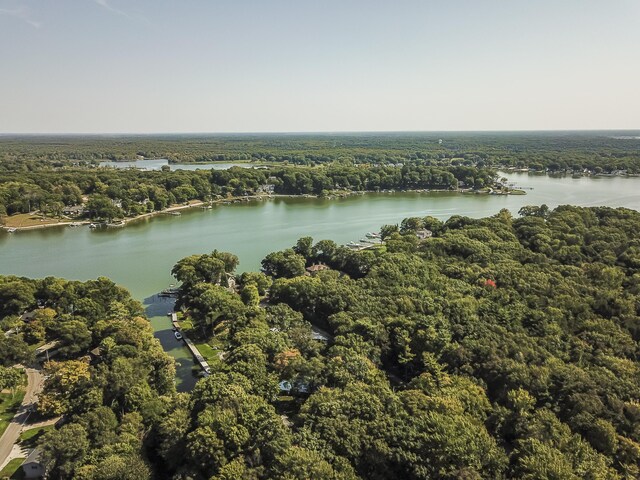 16230 Woodcrest Dr, Spring Lake, MI 49456 - drone / aerial view featuring a view of trees and a water view