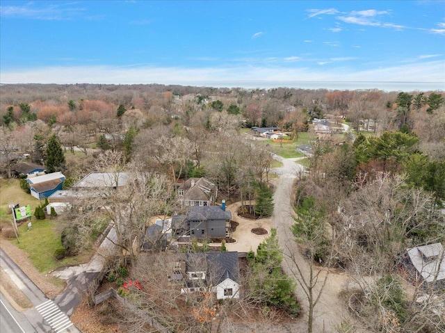 16325 Stones Throw Ln, Union Pier, MI 49129 - drone / aerial view with a wooded view
