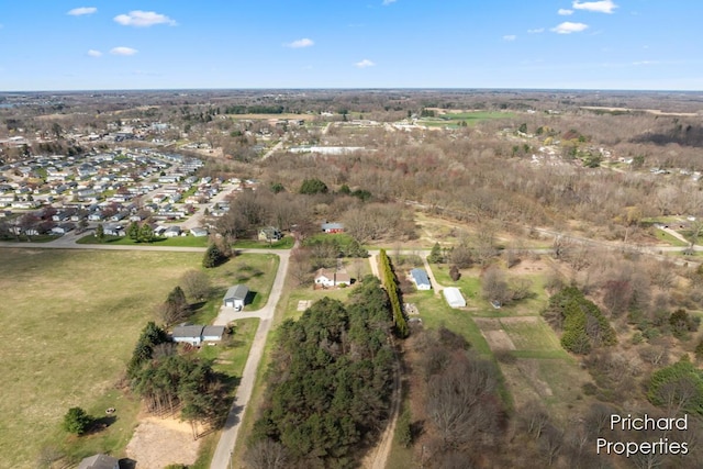 drone / aerial view