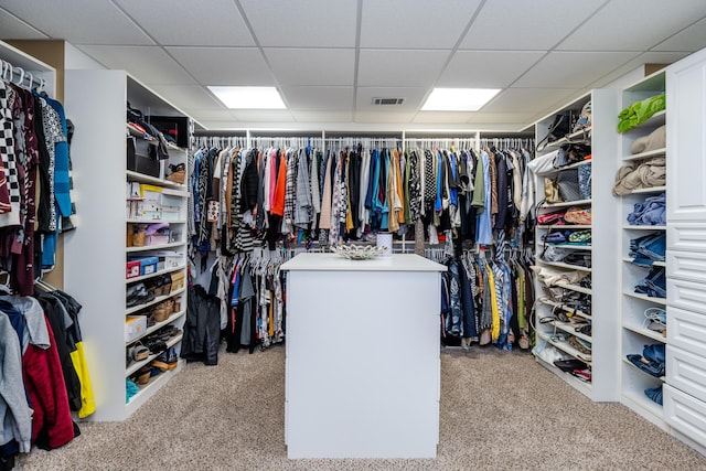 walk in closet with visible vents, carpet floors, and a drop ceiling