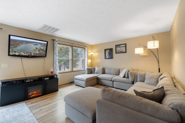 10951 N Waldron Rd, Jerome, MI 49249 - living area featuring a glass covered fireplace, light wood-style flooring, and visible vents