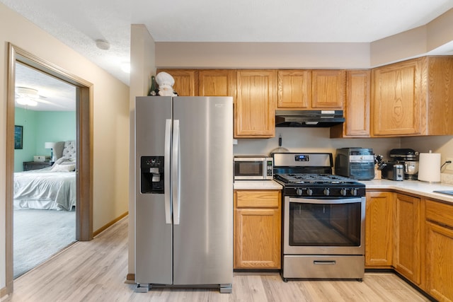 10951 N Waldron Rd, Jerome, MI 49249 - kitchen with under cabinet range hood, stainless steel appliances, light wood-style floors, and light countertops