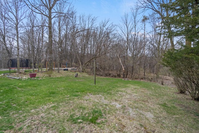 10951 N Waldron Rd, Jerome, MI 49249 - view of yard featuring a trampoline