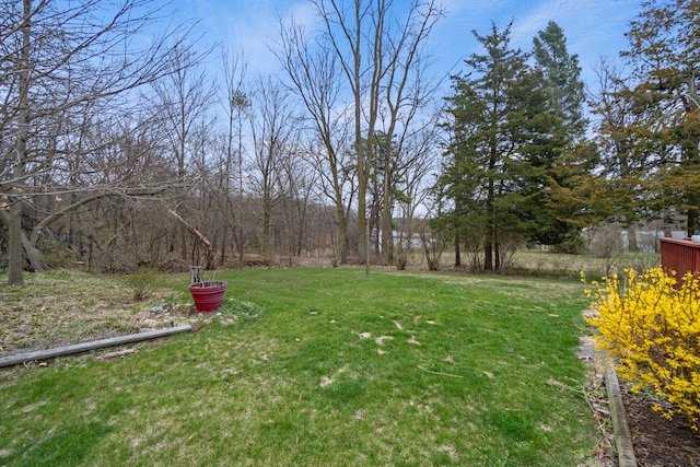10951 N Waldron Rd, Jerome, MI 49249 - view of yard