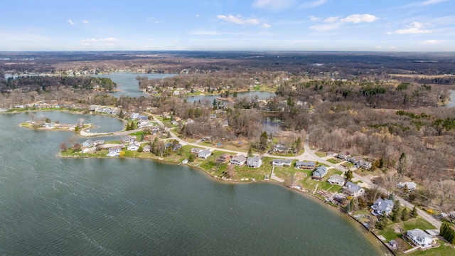 10951 N Waldron Rd, Jerome, MI 49249 - bird's eye view featuring a water view