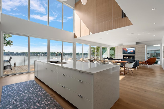 602 Lawn Ave, Holland, MI 49424 - kitchen with a sink, a center island with sink, light wood-style floors, modern cabinets, and a lit fireplace