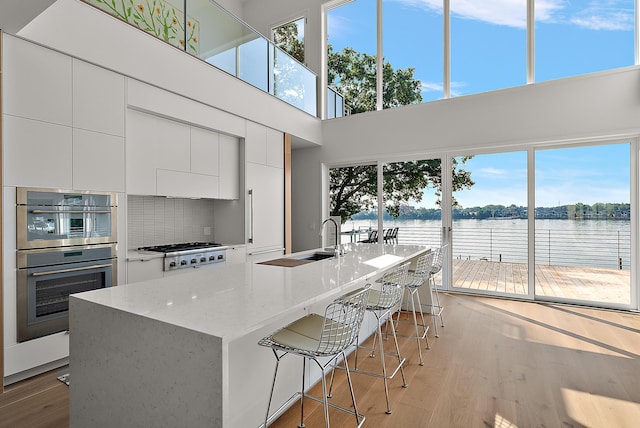 602 Lawn Ave, Holland, MI 49424 - kitchen with modern cabinets, white cabinetry, stainless steel appliances, and a healthy amount of sunlight