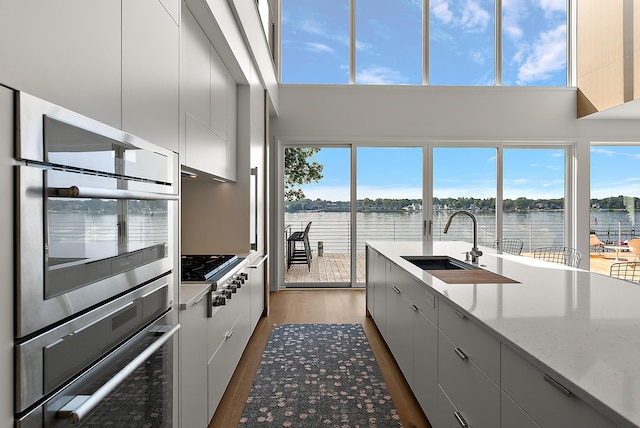 602 Lawn Ave, Holland, MI 49424 - kitchen with modern cabinets, a sink, a water view, and appliances with stainless steel finishes