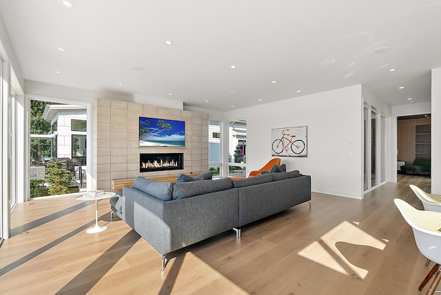 602 Lawn Ave, Holland, MI 49424 - living room featuring light wood-style flooring, baseboards, a large fireplace, and recessed lighting