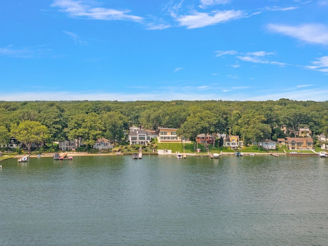 602 Lawn Ave, Holland, MI 49424 - water view with a forest view
