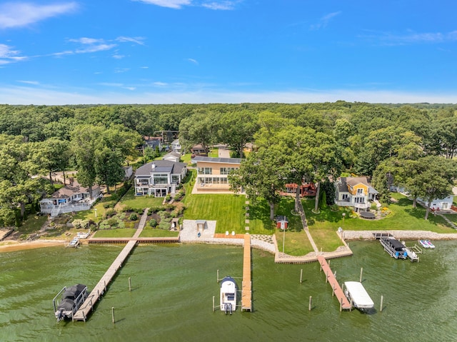 602 Lawn Ave, Holland, MI 49424 - birds eye view of property with a forest view and a water view