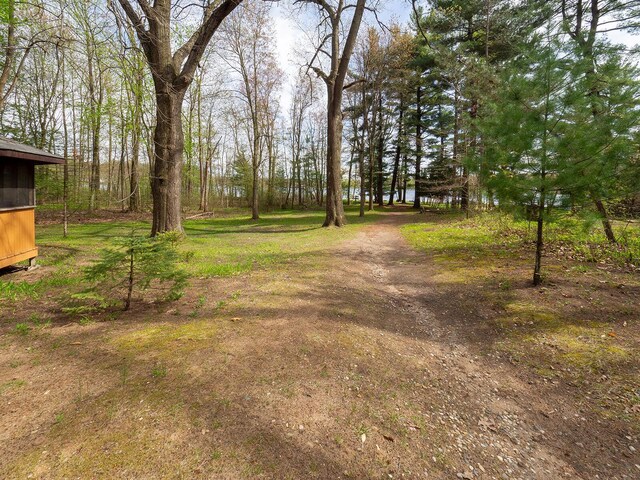 10268 51st St, Grand Junction, MI 49056 - photo 27