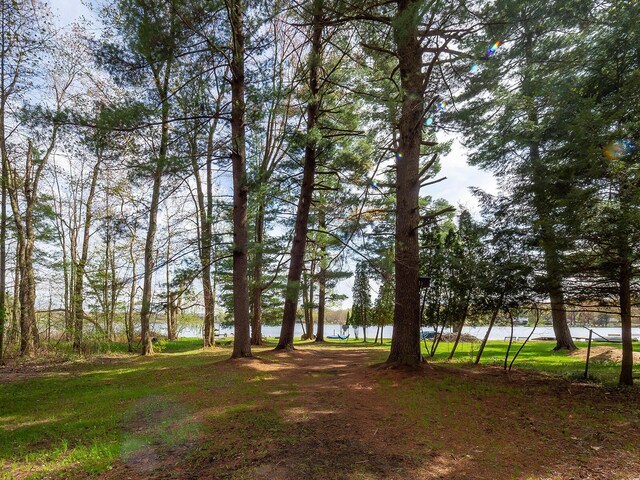 10268 51st St, Grand Junction, MI 49056 - photo 28