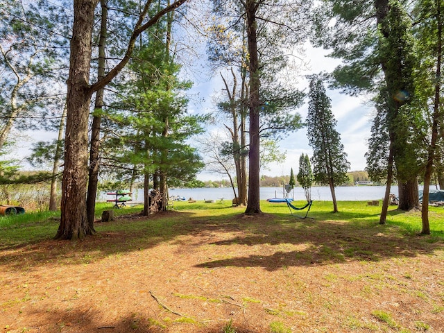 10268 51st St, Grand Junction, MI 49056 - photo 29