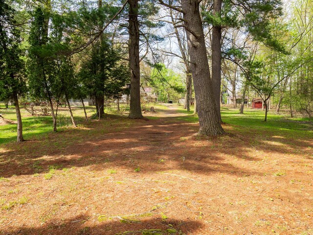 10268 51st St, Grand Junction, MI 49056 - photo 37